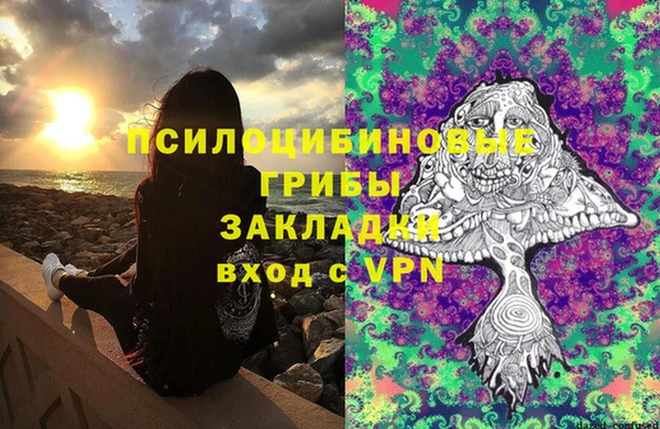 ГАЛЛЮЦИНОГЕННЫЕ ГРИБЫ Баксан